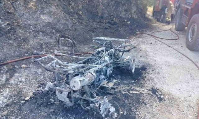 Ζάκυνθος: Φωτιά σε δασική έκταση - Ξεκίνησε από γουρούνα που καήκε ολοσχερώς