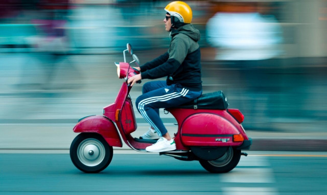 Βόλος: «Κόμπρα» τρομοκράτησε οδηγούς