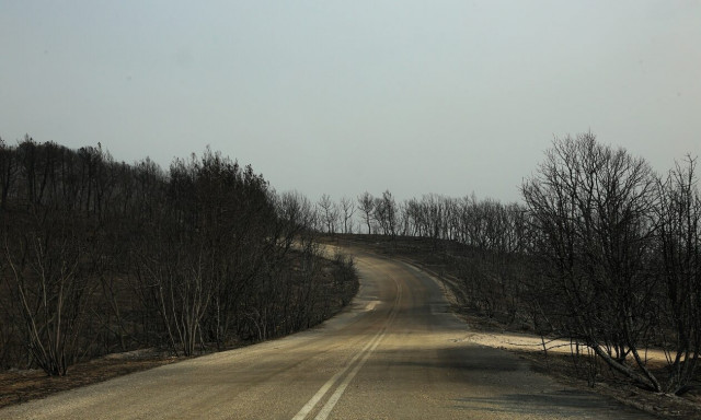 Έβρος: Χωρίς ενεργό μέτωπο μετά από 17 μέρες - Εννέα πυρόπληκτες περιοχές στο «κόκκινο»