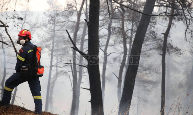 Fire breaks out in Stamata, Attica region