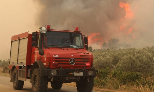 Dadia Forest fire out, firefighters on alert for rekindlings