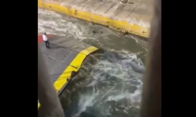 Blue Horizon: «Άνθρωπος στη θάλασσα» - Το πρωτόκολλο που δεν τηρήθηκε και θα είχε σώσει τον 36χρονο