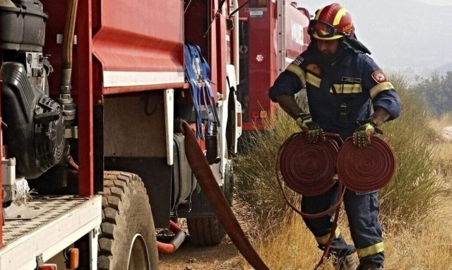 Fires burned 170,000 hectares in Greece during 2023; 70.8% destroyed in August fires alone