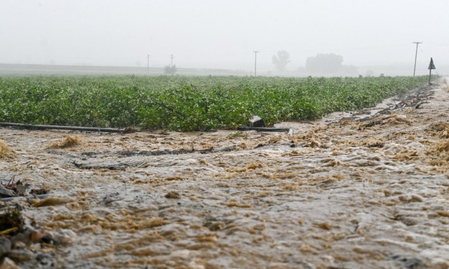 Κακοκαιρία Daniel: Απεγκλωβίστηκε αγρότης από την περιοχή του Δομοκού
