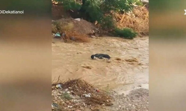 Κακοκαιρία Daniel: Άνθρωπος παρασύρθηκε στο ρέμα Εσχατιάς στο Μενίδι - Σοκαριστικό βίντεο