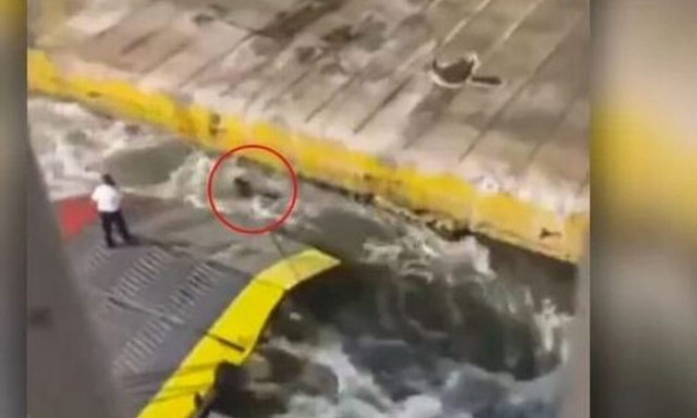 Blue Horizon - Πειραιάς: «Το λάθος το πληρώνει η ιεραρχία πάντα», λέει η σύζυγος του καπετάνιου