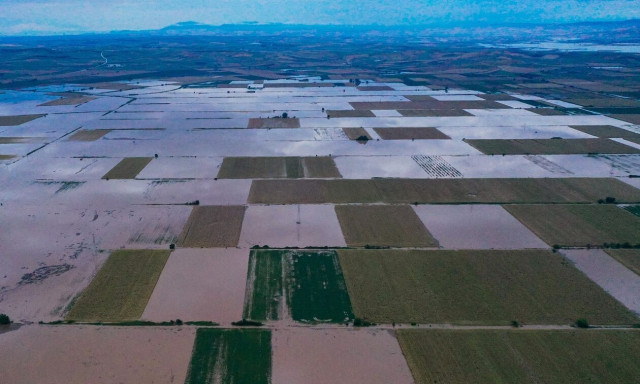 Κακοκαιρία Daniel - Λέκκας: Σε τουλάχιστον πέντε χρόνια θα ανακάμψει ο κάμπος της Θεσσαλίας