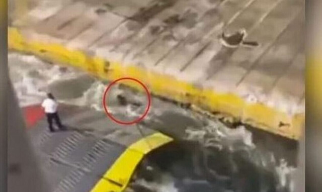 Χανιά -  Blue Horizon: Έριξαν μπογιές στα γραφεία της ΑΝΕΚ