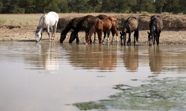Ινδία: «Aντιμετωπίζουμε κλιματική κατάσταση έκτακτης ανάγκης», λέει ο Λούλα από το βήμα της G20