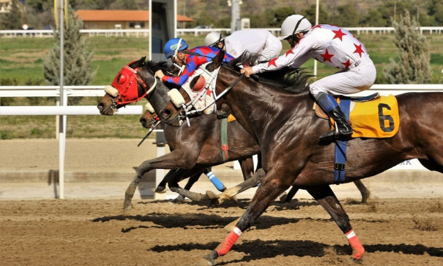 Markopoulo Park: Επτά δυνατές ελληνικές κούρσες στη συγκέντρωση της Δευτέρας