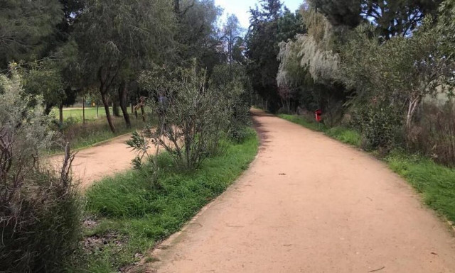 Τρόμος στην Κύπρο: Μαρτυρίες για βιαστή που «χτυπά» στο Γραμμικό