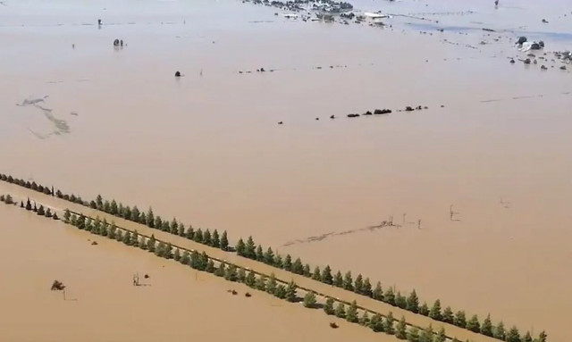 Κακοκαιρία Daniel: Ατελείωτο ποτάμι η Εθνική Οδός μετά τα Τέμπη (vid)