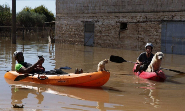 Έκκληση στο Newsbomb.gr για τα ζώα που κινδυνεύουν να πνίγουν - Εγκλωβισμένοι οι εθελοντές