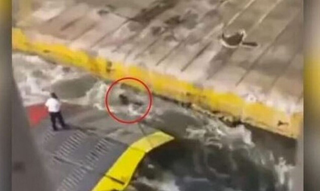 Αντώνης Καργιώτης: Ξέσπασε ο αδερφός του – «Αν δεν υπήρχε βίντεο θα έλεγαν ότι γλίστρησε»