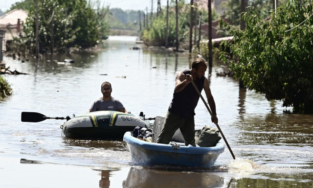 Τρίκαλα: Ζητούν την απομάκρυνση των νεκρών ζώων από τα Μεγάλα Καλύβια