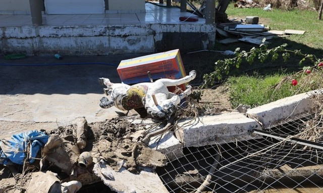 Φρίκη στη Θεσσαλία: Τα νεκρά ζώα σαπίζουν – Τα ζωντανά πεινούν