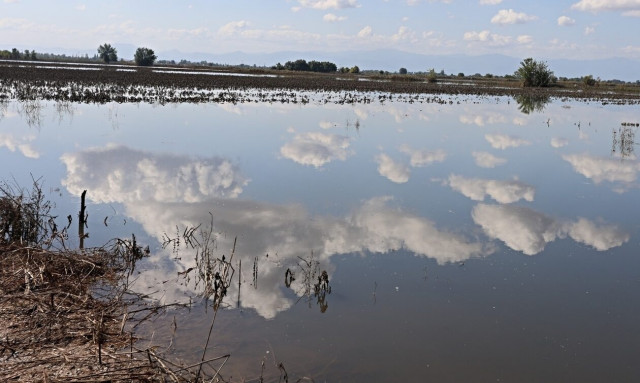 Κακοκαιρία Daniel – Καρδίτσα: Έκκληση ηλικιωμένης στον Παλαμά που ζει στο μπαλκόνι της αδερφής της