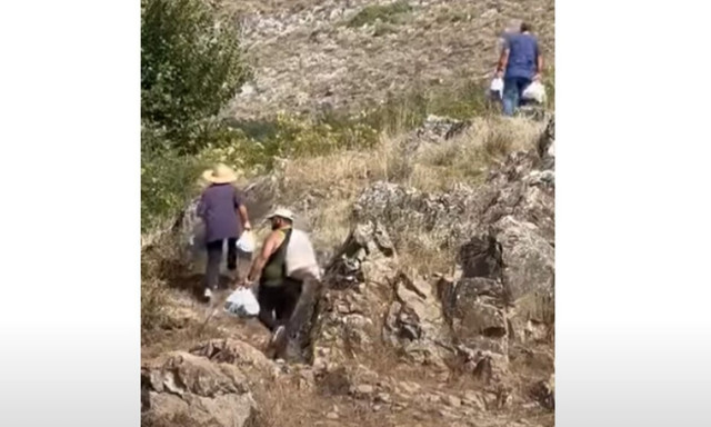 Κακοκαιρία Daniel: Πλημμυροπαθείς κτηνοτρόφοι ζουν στα μαντριά τους - Κατεβαίνουν να πάρουν φαγητό