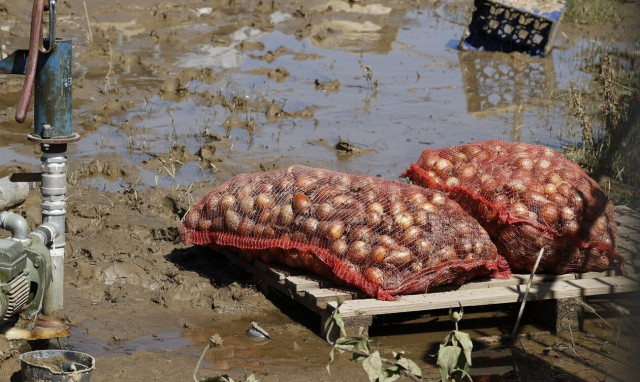 Κακοκαιρία Daniel - Μαγιορκίνης: Τι πρέπει να προσέχουν οι κάτοικοι στις περιοχές που επλήγησαν