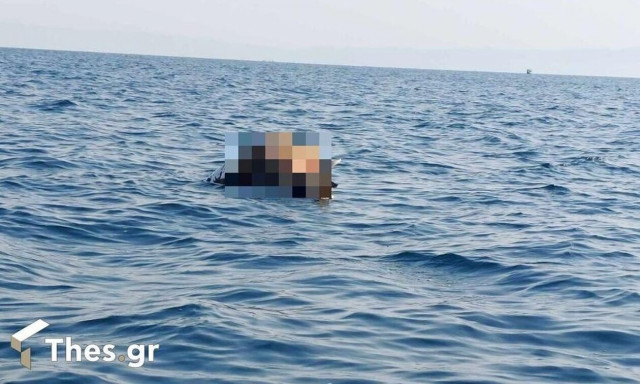 Θεσσαλονίκη: Νεκρή αγελάδα επιπλέει στον Θερμαϊκό