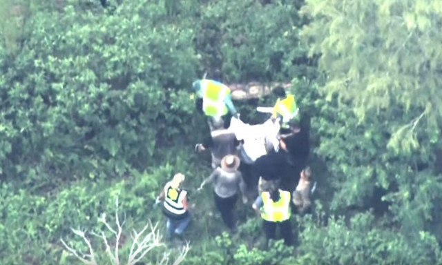 ΗΠΑ: Αιχμαλωτίστηκε αρκούδα που περιφερόταν στο πάρκο της Disney στη Φλόριντα