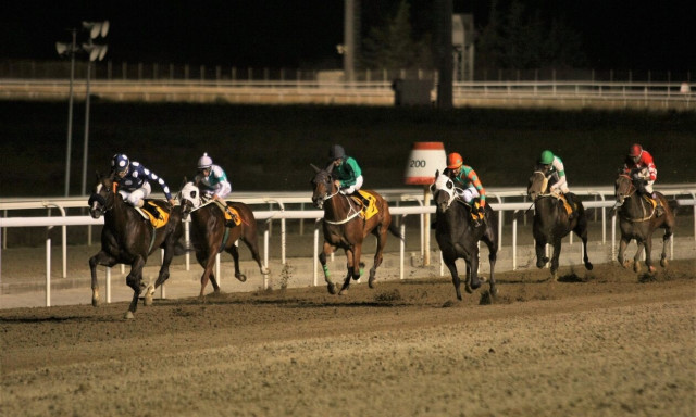 Έξι δυνατές κούρσες και νέα ώρα των ελληνικών ιπποδρομιών στο Markopoulo Park