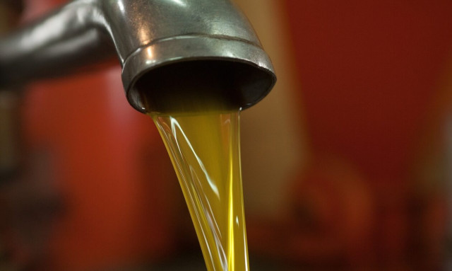 Καλπάζει η τιμή του «υγρού χρυσού» - Στα ύψη η αξία του ελαιόλαδου