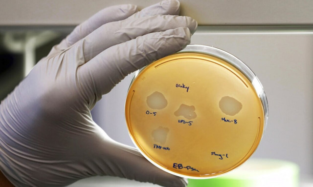 Αυξάνονται οι θάνατοι από το βακτήριο Vibrio vulnificus στις ΗΠΑ