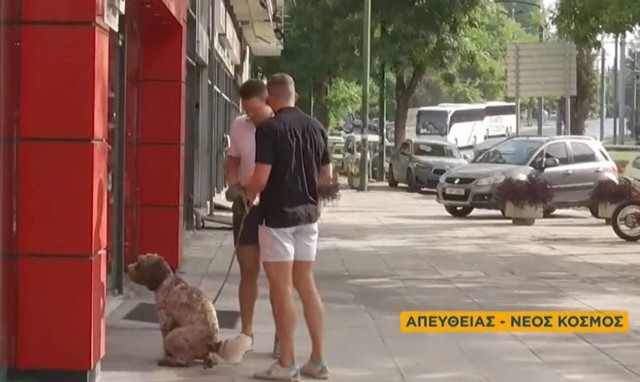 Στέφανος Κασσελάκης: Ο σκύλος του... τα έκανε σε live μετάδοση