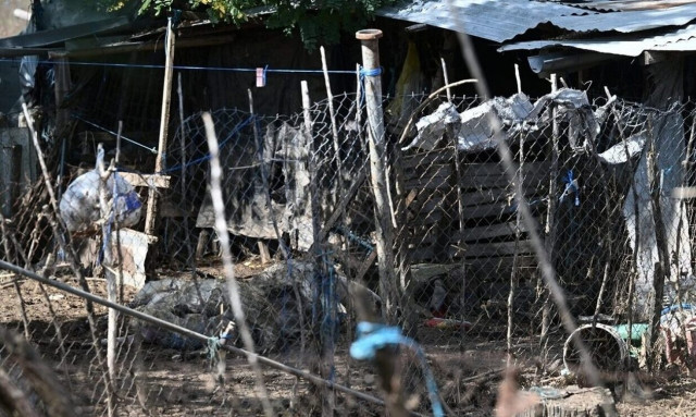 A 75% of drowned animals has been removed in Thessaly, minister tells Parliament