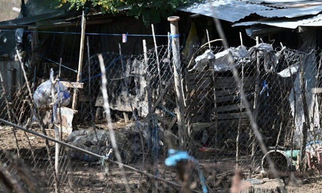 Βουλή: Στο 75% η αποκομιδή των νεκρών ζώων στη Θεσσαλία