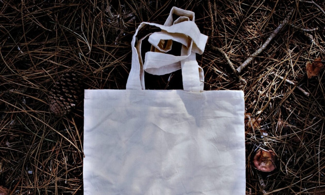 Νέα μελέτη φέρνει τα πάνω-κάτω: Οι βιοδιασπώμενες σακούλες είναι πιο τοξικές από τις πλαστικές