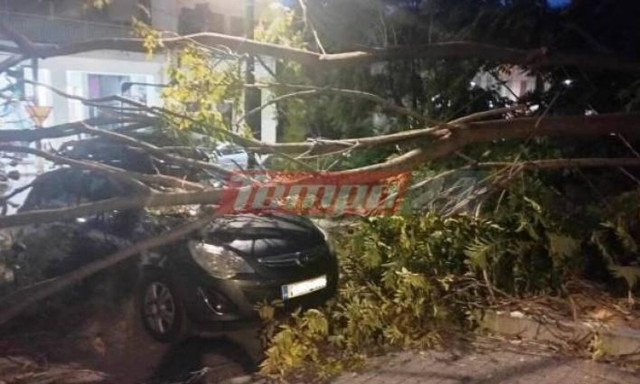 Πάτρα: Δέντρο έπεσε πάνω σε γυναίκα ενώ περίμενε να πάρει το παιδί της από το φροντιστήριο