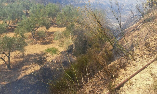 Φωτιά τώρα στο Ηράκλειο Κρήτης