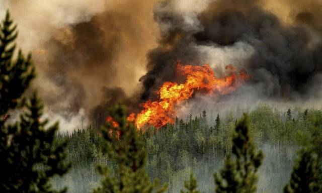 Καναδάς: Η χώρα επλήγη από τη χειρότερη εποχή των πυρκαγιών που έχει καταγραφεί ποτέ
