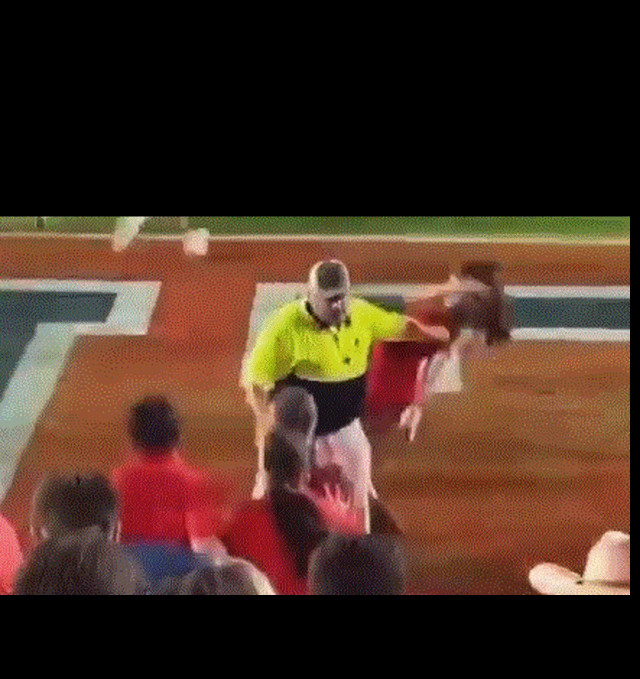 ΗΠΑ: Σεκιουριτάς «γκρέμισε» κοπέλα που μπήκε στο γήπεδο για να πανηγυρίσει τη νίκη της ομάδας της