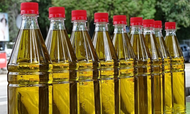 Χαλκιδική: Υπεξαίρεση «βλέπει» ο δικηγόρος των θυμάτων για τις ποσότητες εξαφανισμένου ελαιολάδου