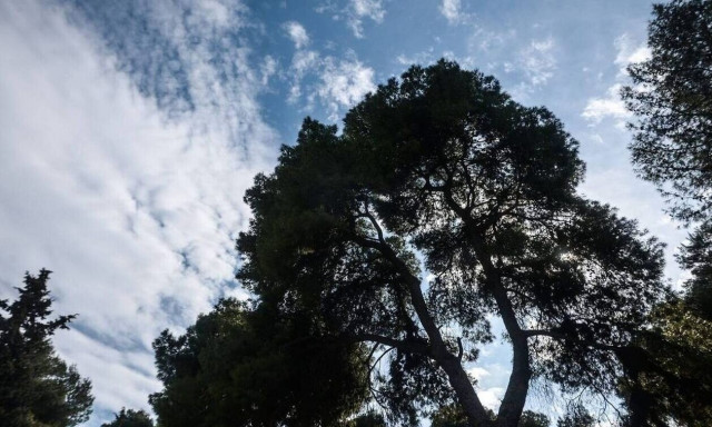 Καιρός: Με συννεφιά και μικρή άνοδο της θερμοκρασίας η Κυριακή των αυτοδιοικητικών εκλογών