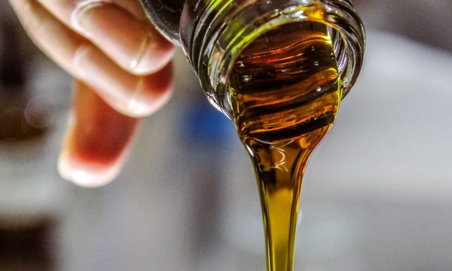 Ελαιόλαδο: 100% αυξήθηκε η τιμή του μέσα σε δύο μήνες - Παραδείγματα