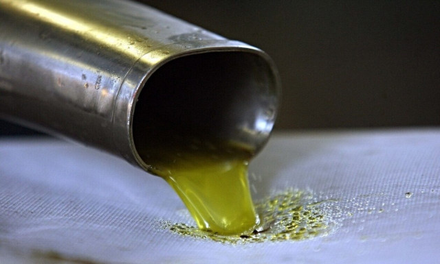 ΕΦΕΤ: Εντατικοί έλεγχοι για την προστασία του ελαιολάδου       