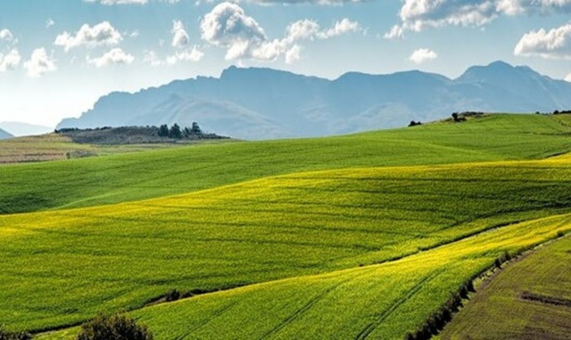 Καινοτόμες δράσεις από τη Bayer που διαμορφώνουν το βιώσιμο μέλλον της γεωργίας