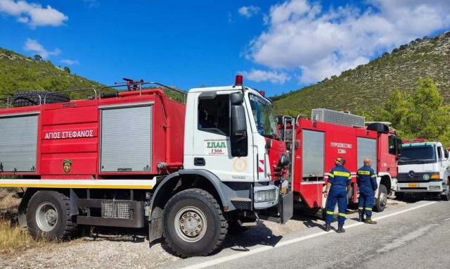 Φωτιά στη Νέα Μάκρη: Υπό μερικό έλεγχο - Αποκαταστάθηκε η κυκλοφορία στη λεωφόρο Διονύσου