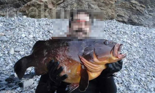 Ηράκλειο: Αγωνία για τον 45χρονο δύτη που αγνοείται - Άκαρπες οι έρευνες εντοπισμού