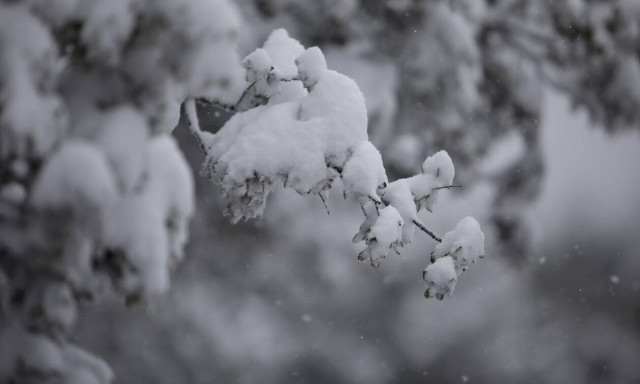 Μερομήνια 2023-2024: Έρχεται βαρυχειμωνιά - Πότε θα πέσουν τα πρώτα χιόνια