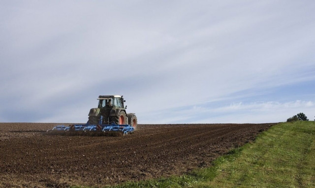 Ακρίβεια: «Φωτιά» τα αγροτικά προϊόντα - Άνοδος τιμών ακόμα και 100% σε ένα χρόνο