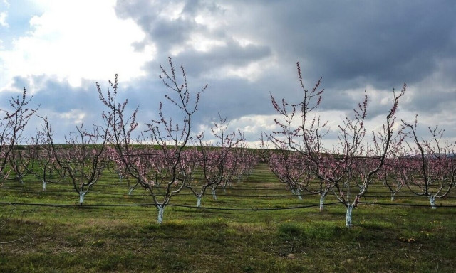 Weather forecast: Mixed fair/rainy, cooler on Sunday