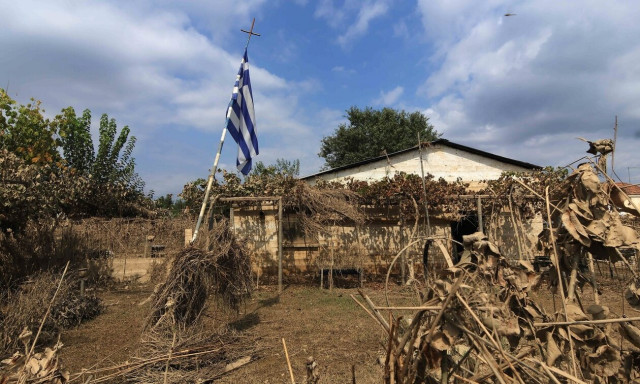 Αποτελέσματα εκλογών LIVE: Δήμαρχος Παλαμά με 11 ψήφους διαφορά ο Σωκράτης Δασκαλόπουλος