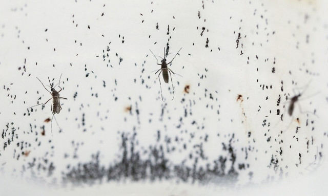 Ιός Δυτικού Νείλου: 161 τα συνολικά κρούσματα και 20 οι θάνατοι