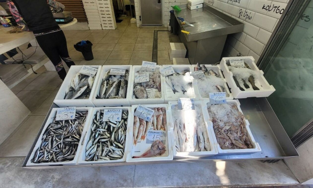 Λάρισα: Σε απόγνωση οι ιχθυοπώλες - Μειωμένες οι πωλήσεις ψαριών μετά την κακοκαιρία