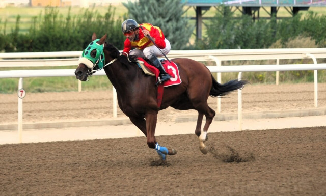 Markopoulo Park: Έξι νικητές στο ΣΚΟΡ 6 κέρδισαν από 2.933 ευρώ